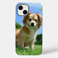 Cute Puppy in Garden Photo