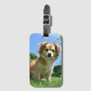 Cute Puppy in Garden Photo Luggage Tag