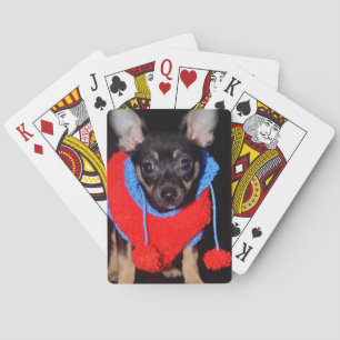 Cute Puppy in Red Wool Sweater Playing Cards