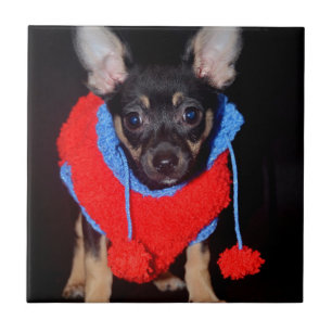 Cute Puppy in Red Wool Sweater Tile