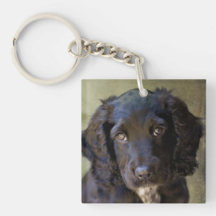 Cute puppy key chain