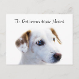Cute Puppy New Address Announcement Postcard