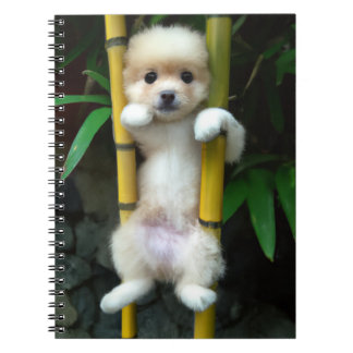 Cute Puppy Notebook Gaejook 개죽이