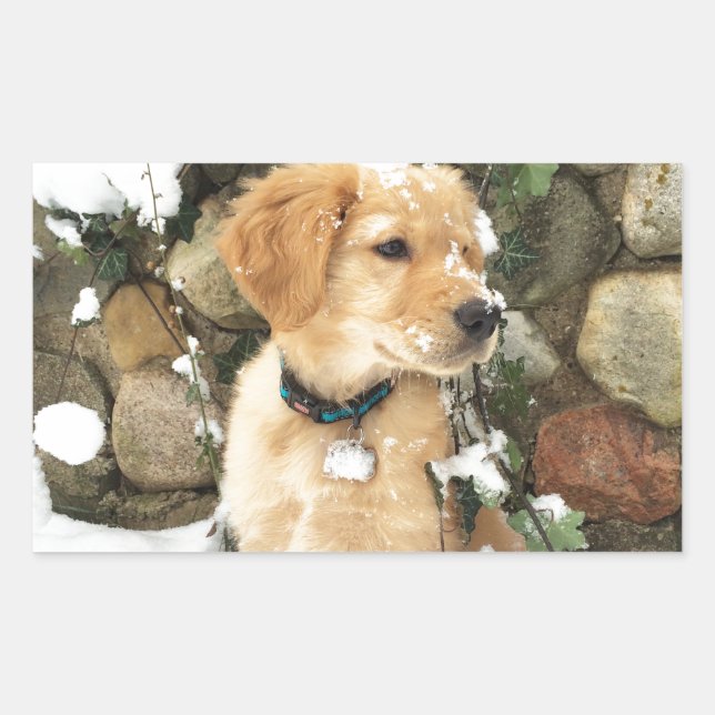 Cute Puppy photo Rectangular Sticker (Front)