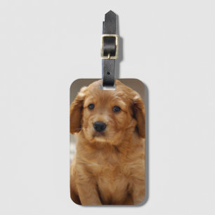 Cute Puppy Portrait Photo Luggage Tag