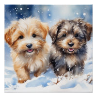 Cute puppy