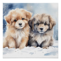 Cute puppy
