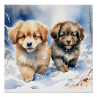 Cute puppy