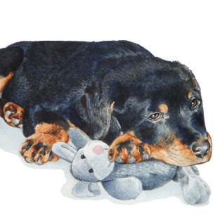 cute puppy rottweiler cuddling teddy bear jigsaw puzzle