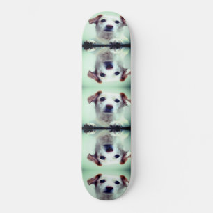 Cute Puppy Skateboard