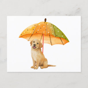 Cute Puppy under Autumn Colour Umbrella  Postcard