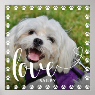 Cute Puppy Valentines Day Pet Puppy Dog Photo Poster