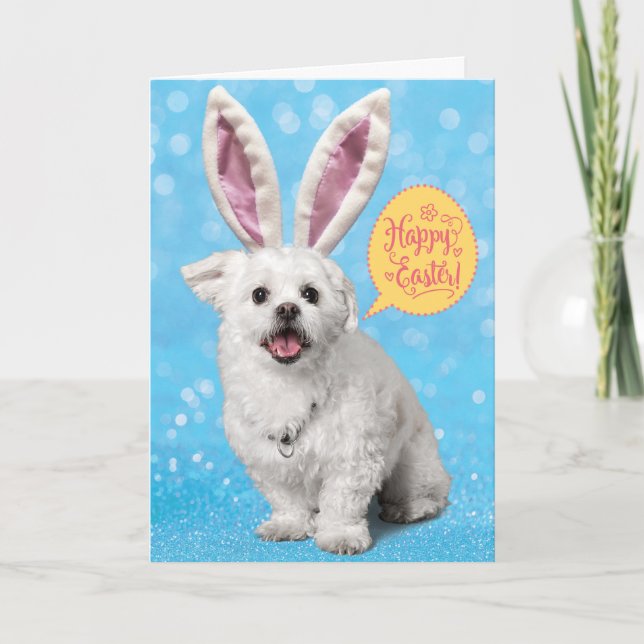 Cute Puppy Wearing Eggs-Tra Special Bunny Ears Card (Front)