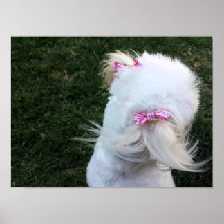 Cute puppy with ribbons poster