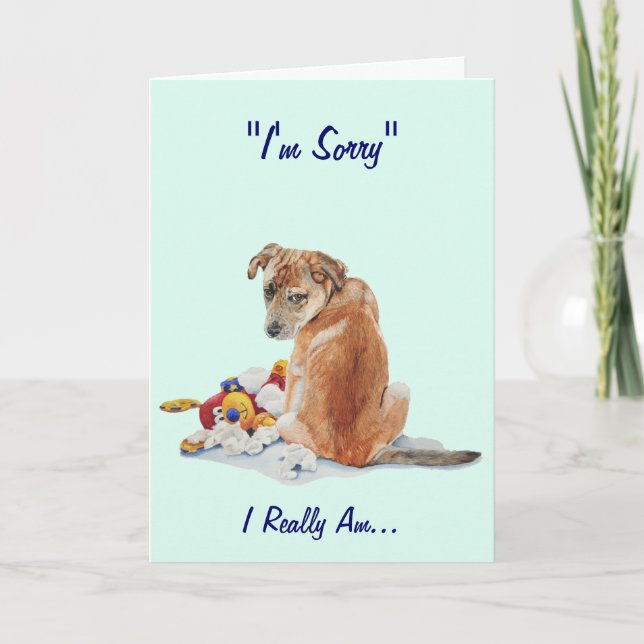 cute puppy with teddy saying sorry card (Front)