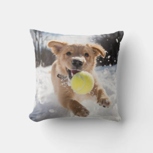 🐕 Cute puppy with Tennis balls in ❄️snow Cushion