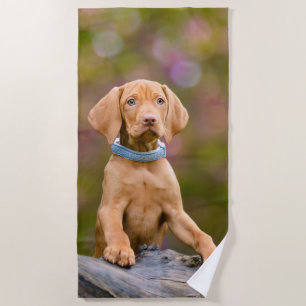 Cute puppyeyed Hungarian Vizsla Dog Puppy Photo . Beach Towel