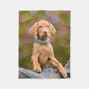Cute puppyeyed Hungarian Vizsla Dog Puppy Photo // Fleece Blanket