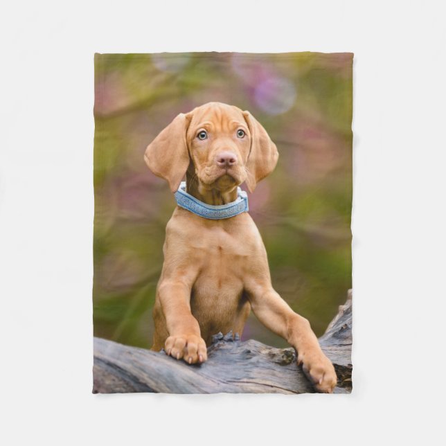 Cute puppyeyed Hungarian Vizsla Dog Puppy Photo - Fleece Blanket (Front)