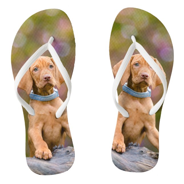 Cute puppyeyed Hungarian Vizsla Dog Puppy Photo _- Jandals (Footbed)