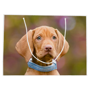Cute puppyeyed Hungarian Vizsla Dog Puppy Photo -/ Large Gift Bag
