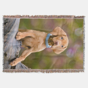 Cute puppyeyed Hungarian Vizsla Dog Puppy Photo Throw Blanket