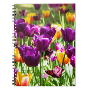Cute purple and yellow tulips notebook
