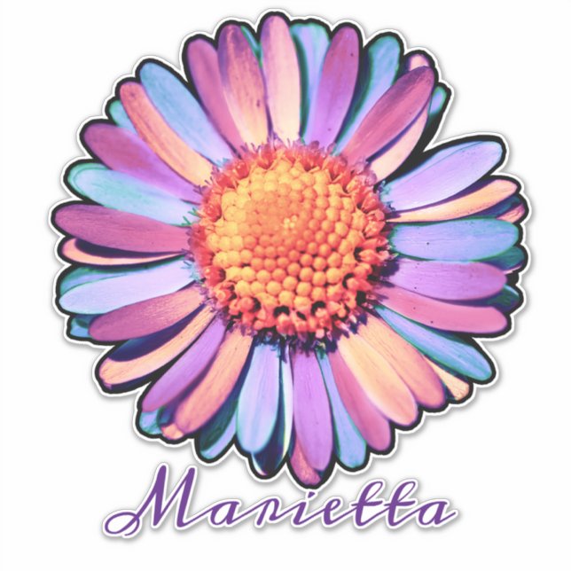   Cute Purple Pink Blue Boho Daisy Personalised Bi (Front)