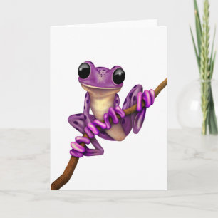 Cute Purple Tree Frog on a Branch on White Card