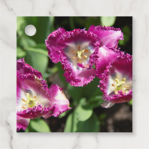 Cute purple tulips in the garden favour tags