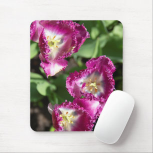 Cute purple tulips in the garden mouse pad