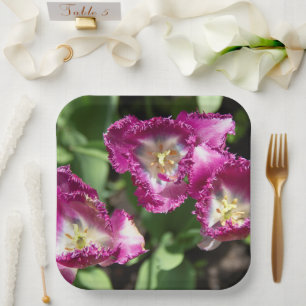 Cute purple tulips in the garden paper plate