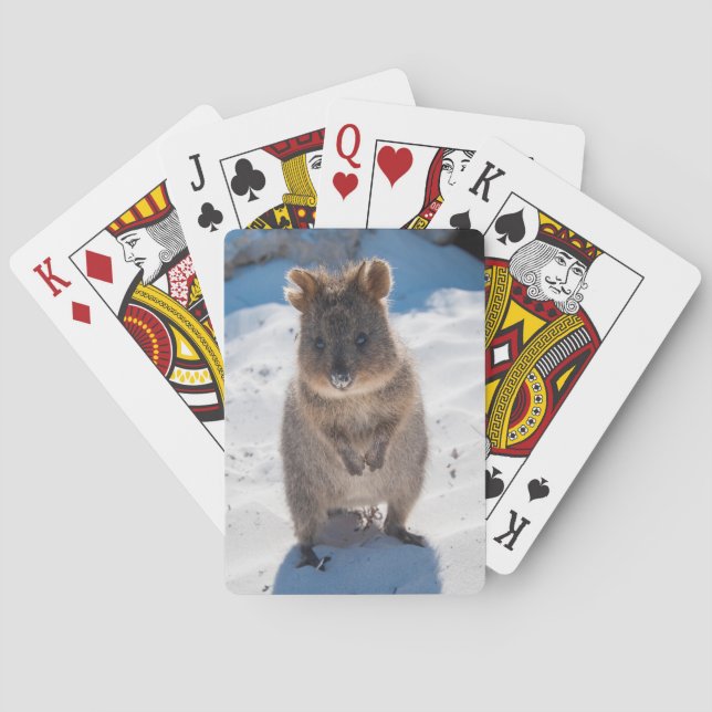 Cute Quokka Animal Beach Wildlife Australia Playing Cards (Back)