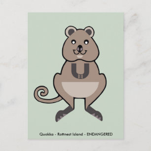 Cute QUOKKA - Wildlife - Marsupial - Australia Postcard