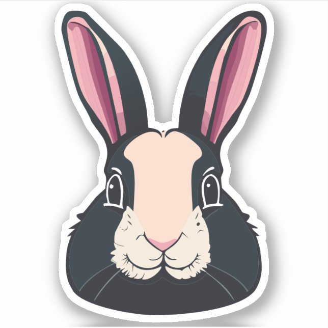 Cute Rabbit Cartoon Charactor (Front)