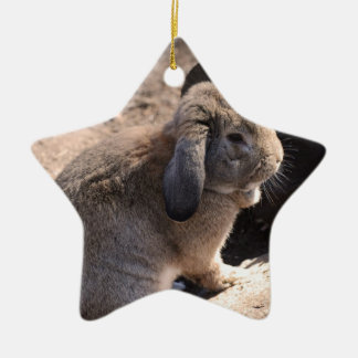 Cute Rabbit Ceramic Tree Decoration