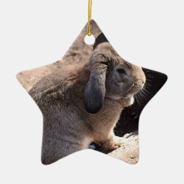 Cute Rabbit Ceramic Tree Decoration (Front)