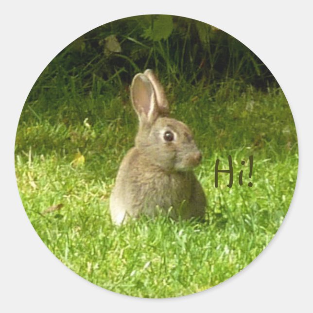 Cute rabbit! classic round sticker (Front)
