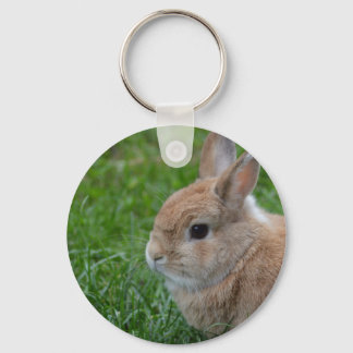 Cute Rabbit Key Ring