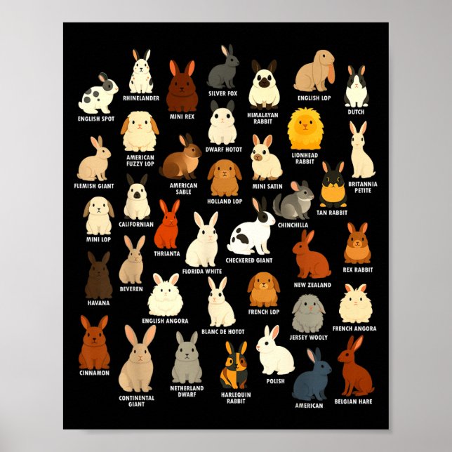 Cute Rabbit Lover Bunny Breeds Rabbit Poster (Front)