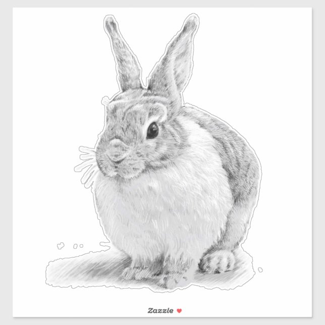 Cute Rabbit Pencil Drawing (Sheet)