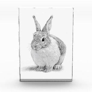 Cute Rabbit Pencil Drawing Photo Block