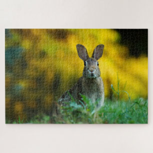 Cute rabbit photo jigsaw puzzle