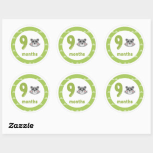 Cute Racoon Baby Monthly Milestone  Classic Round Sticker