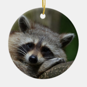 Cute Racoon Ceramic Tree Decoration