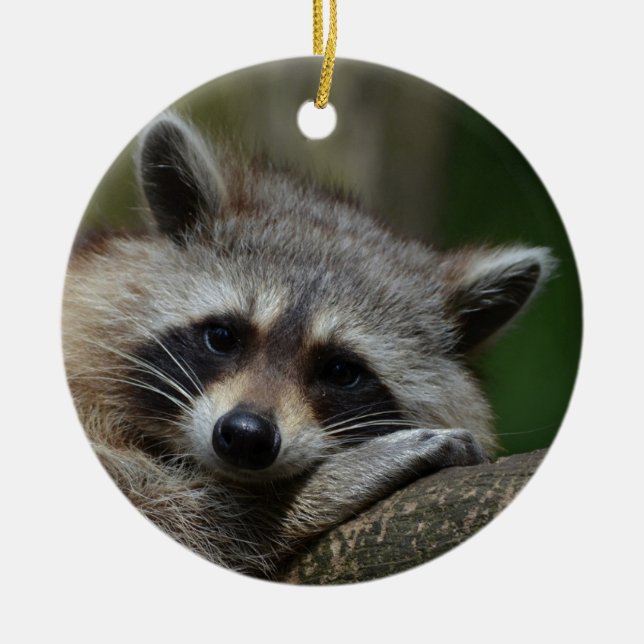 Cute Racoon Ceramic Tree Decoration (Front)