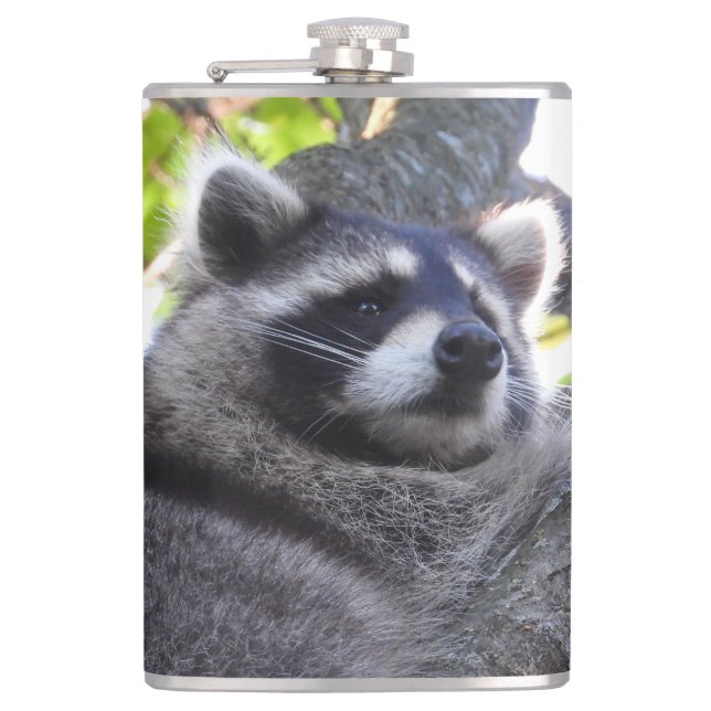 Cute Racoon Close UP Hip Flask (Front)