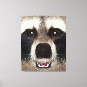 Cute Racoon Head Funny Animal Portrait Canvas Print