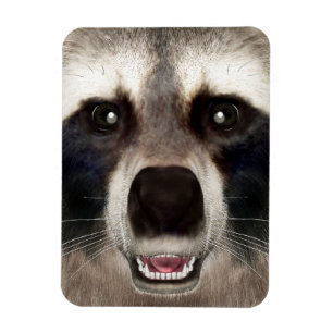 Cute Racoon Head Funny Animal Portrait Magnet