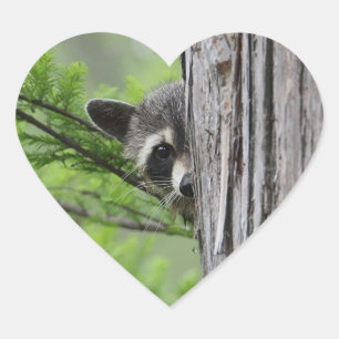 Cute Racoon Heart Sticker